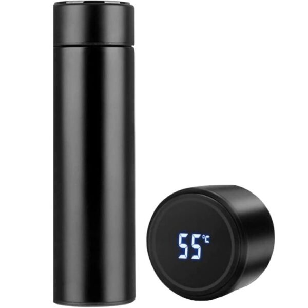 Water Bottle With LED Temperature Display