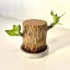 Lucky Wood