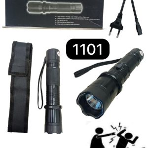 Torch With Taser Gun