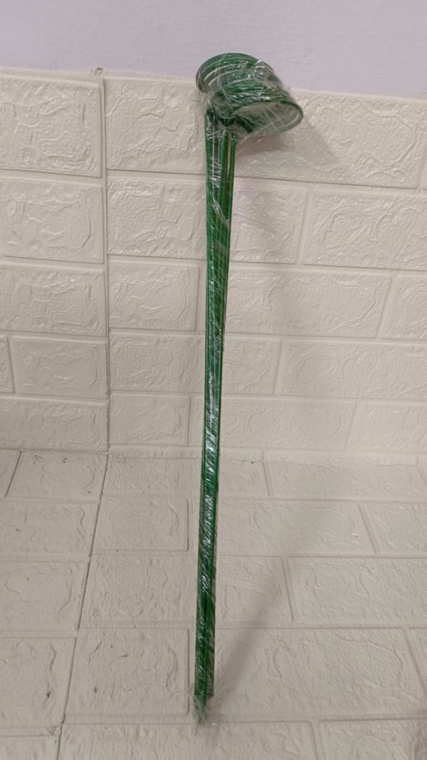 12 pc Set Plant Stick
