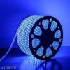 Blue Cob Light 50m