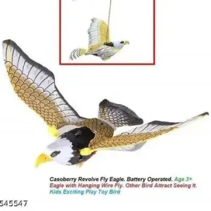 Flying Eagle Bird