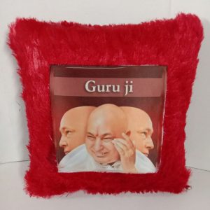 Fur Cushion 15x15 inches