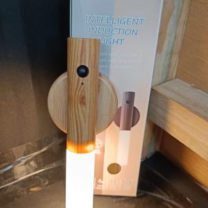 Induction Light