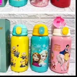 Steel Insulated Bottle